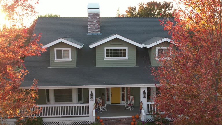 Roof Moss and Algae Removal in Parma, OH